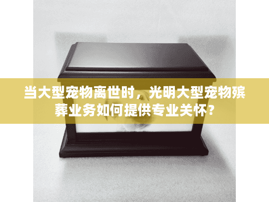 当大型宠物离世时，光明大型宠物殡葬业务如何提供专业关怀？