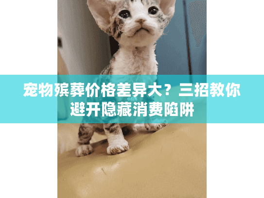 宠物殡葬价格差异大？三招教你避开隐藏消费陷阱