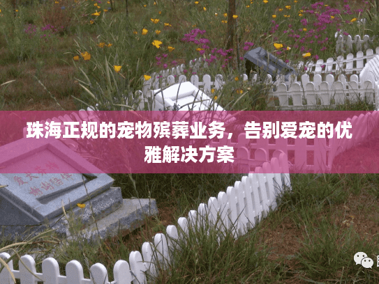 珠海正规的宠物殡葬业务，告别爱宠的优雅解决方案