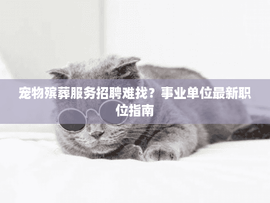 宠物殡葬服务招聘难找？事业单位最新职位指南