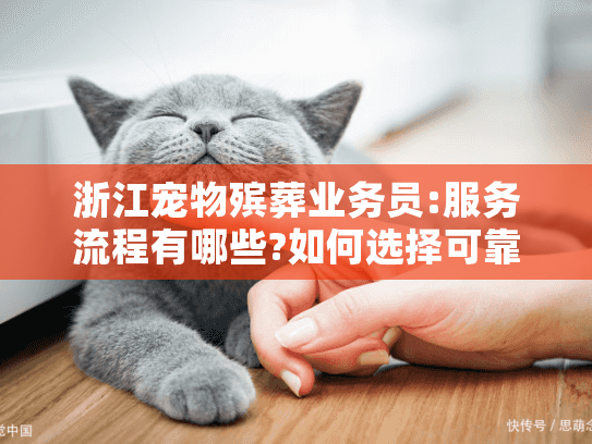 浙江宠物殡葬业务员:服务流程有哪些?如何选择可靠服务?