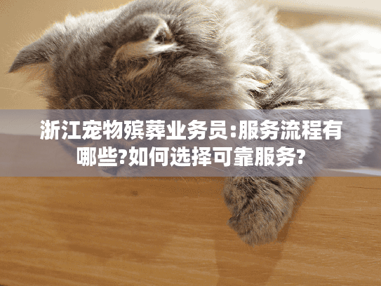 浙江宠物殡葬业务员:服务流程有哪些?如何选择可靠服务?