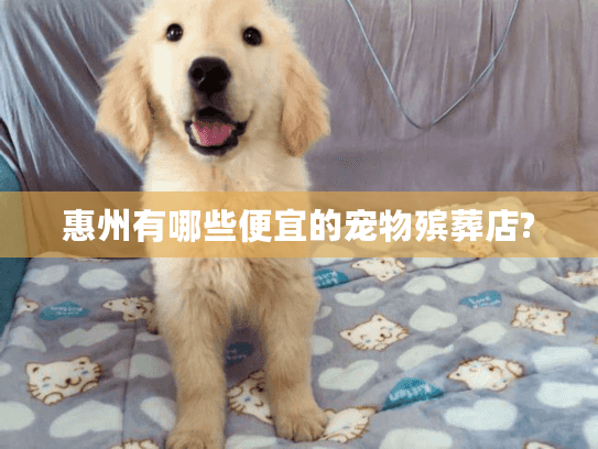 惠州有哪些便宜的宠物殡葬店?