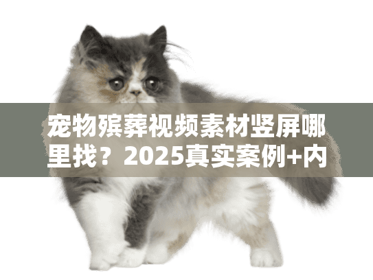 宠物殡葬视频素材竖屏哪里找？2025真实案例+内行人私藏避坑法
