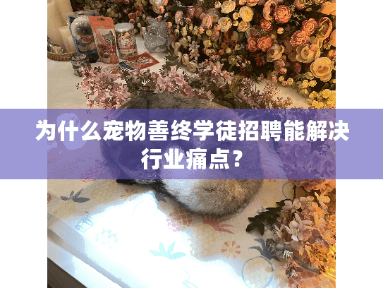 为什么宠物善终学徒招聘能解决行业痛点？