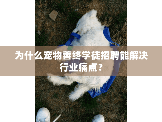为什么宠物善终学徒招聘能解决行业痛点？