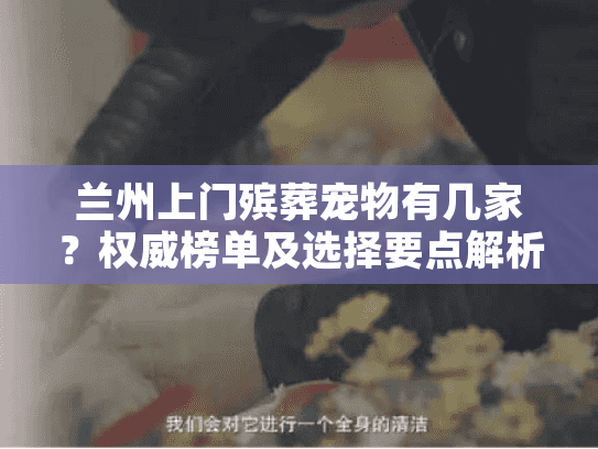 兰州上门殡葬宠物有几家？权威榜单及选择要点解析