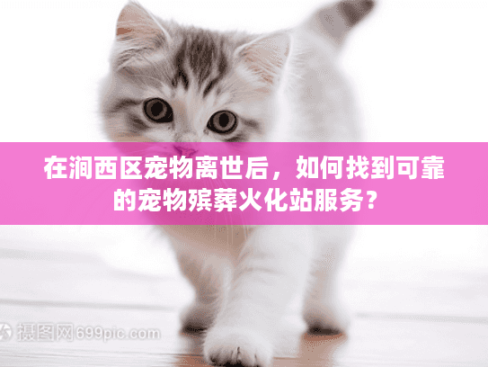 在涧西区宠物离世后，如何找到可靠的宠物殡葬火化站服务？