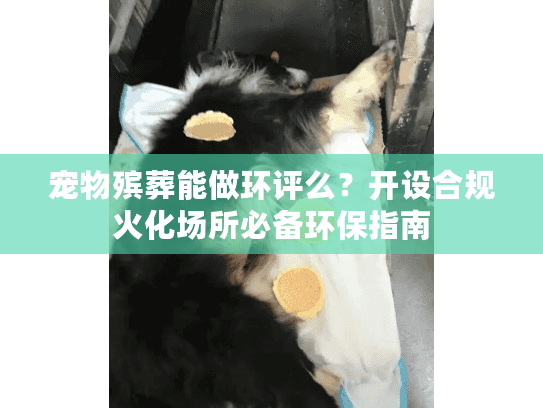 宠物殡葬能做环评么？开设合规火化场所必备环保指南
