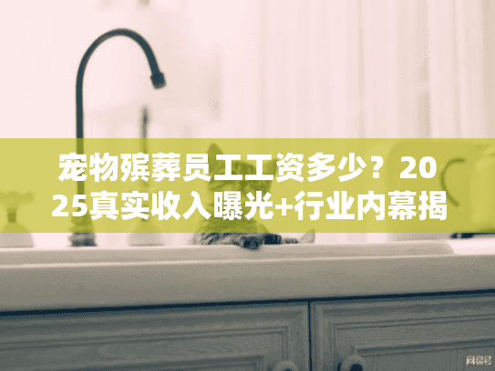宠物殡葬员工工资多少？2025真实收入曝光+行业内幕揭秘