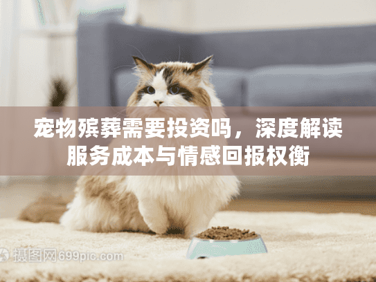 宠物殡葬需要投资吗，深度解读服务成本与情感回报权衡