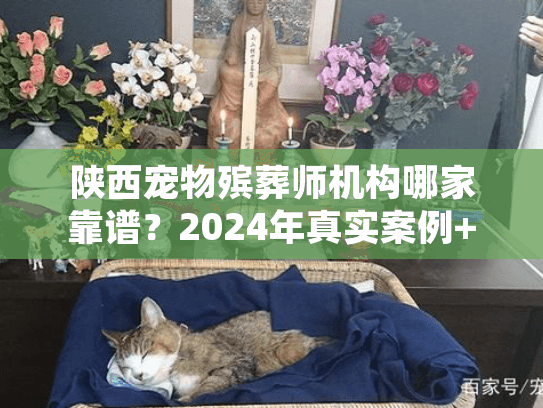 陕西宠物殡葬师机构哪家靠谱？2024年真实案例+行业潜规则揭秘