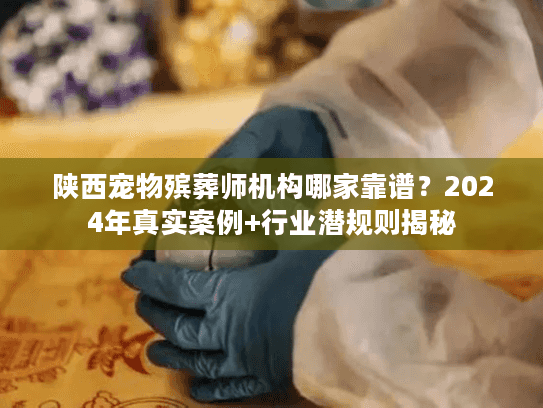 陕西宠物殡葬师机构哪家靠谱？2024年真实案例+行业潜规则揭秘