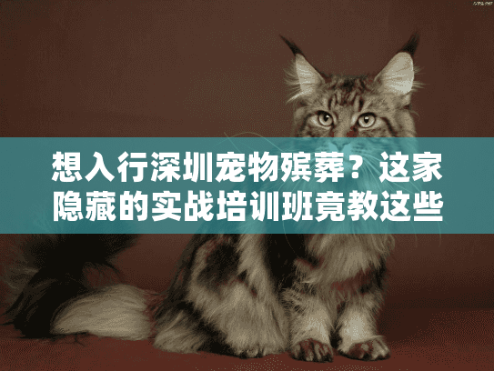 想入行深圳宠物殡葬？这家隐藏的实战培训班竟教这些关键技能（附真实案例）