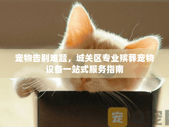 宠物告别难题，城关区专业殡葬宠物设备一站式服务指南