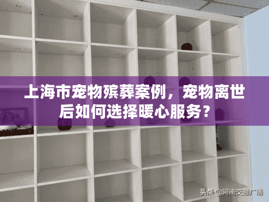 上海市宠物殡葬案例，宠物离世后如何选择暖心服务？
