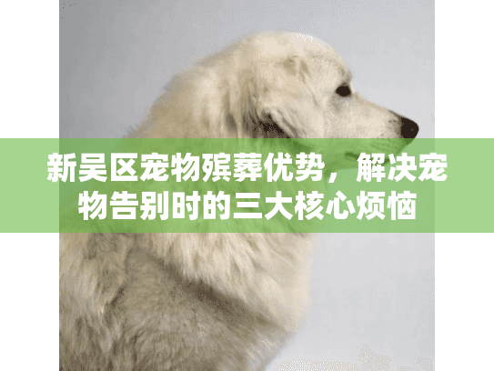 新吴区宠物殡葬优势，解决宠物告别时的三大核心烦恼