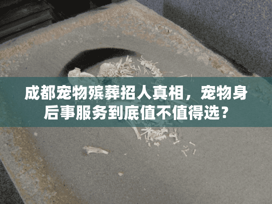 成都宠物殡葬招人真相，宠物身后事服务到底值不值得选？