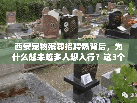西安宠物殡葬招聘热背后，为什么越来越多人想入行？这3个真相你必须知道