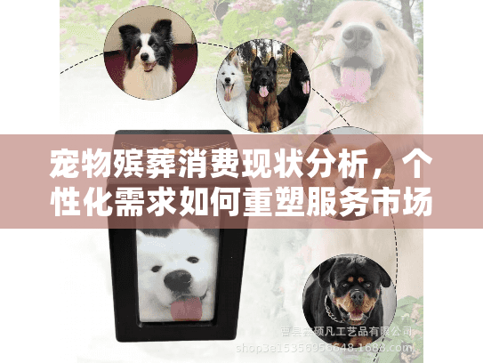 宠物殡葬消费现状分析，个性化需求如何重塑服务市场？