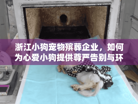 浙江小狗宠物殡葬企业，如何为心爱小狗提供尊严告别与环保安葬服务？