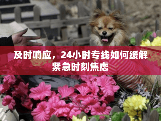 及时响应，24小时专线如何缓解紧急时刻焦虑
