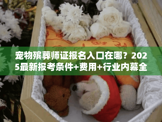 宠物殡葬师证报名入口在哪？2025最新报考条件+费用+行业内幕全揭秘