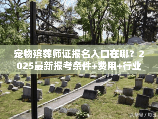 宠物殡葬师证报名入口在哪？2025最新报考条件+费用+行业内幕全揭秘