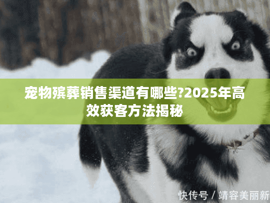 宠物殡葬销售渠道有哪些?2025年高效获客方法揭秘