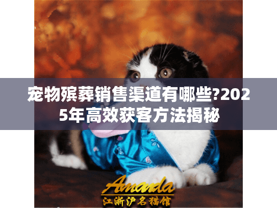 宠物殡葬销售渠道有哪些?2025年高效获客方法揭秘