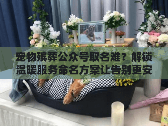 宠物殡葬公众号取名难？解锁温暖服务命名方案让告别更安心