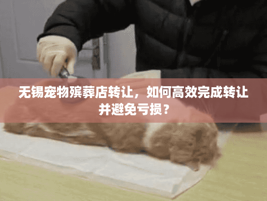 无锡宠物殡葬店转让，如何高效完成转让并避免亏损？