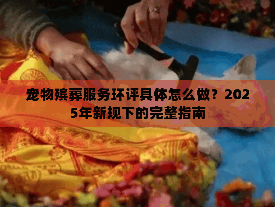 宠物殡葬服务环评具体怎么做？2025年新规下的完整指南