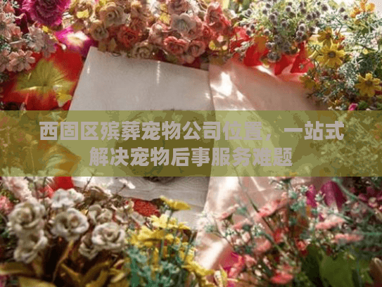 西固区殡葬宠物公司位置，一站式解决宠物后事服务难题