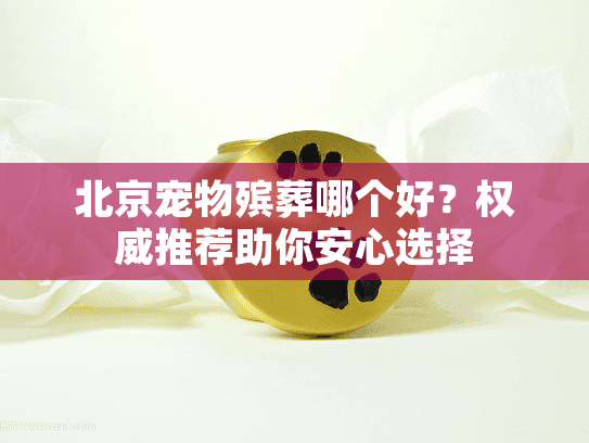 北京宠物殡葬哪个好？权威推荐助你安心选择
