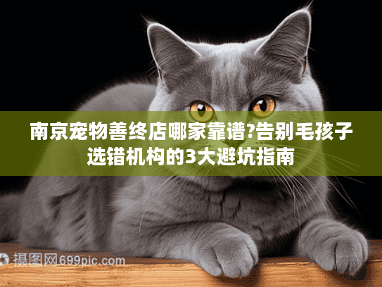 南京宠物善终店哪家靠谱?告别毛孩子选错机构的3大避坑指南