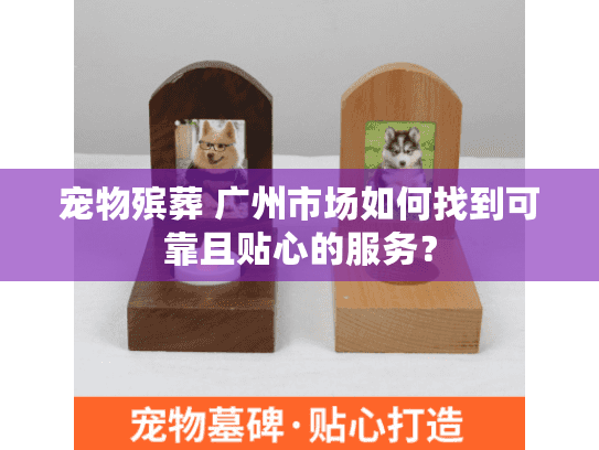 宠物殡葬 广州市场如何找到可靠且贴心的服务？