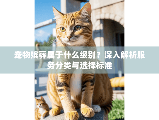 宠物殡葬属于什么级别？深入解析服务分类与选择标准