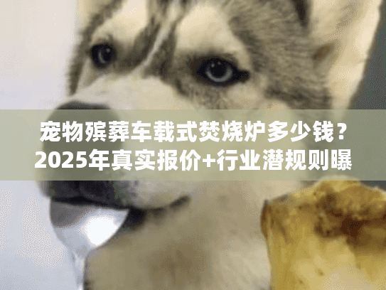 宠物殡葬车载式焚烧炉多少钱？2025年真实报价+行业潜规则曝光