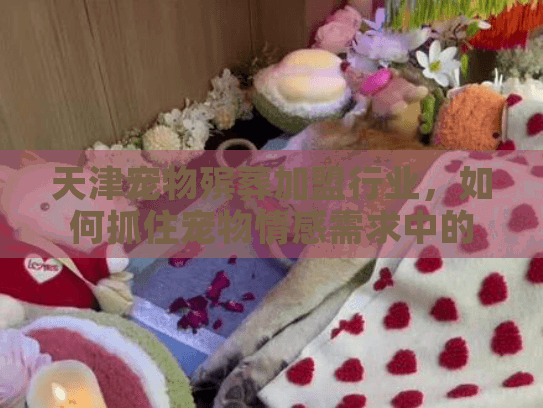 天津宠物殡葬加盟行业，如何抓住宠物情感需求中的创业蓝海？