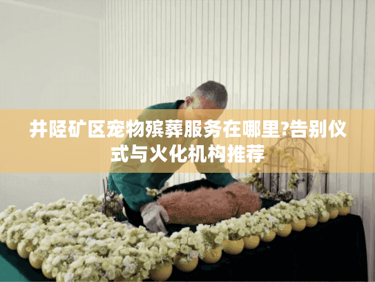 井陉矿区宠物殡葬服务在哪里?告别仪式与火化机构推荐