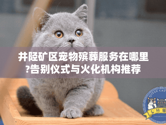 井陉矿区宠物殡葬服务在哪里?告别仪式与火化机构推荐