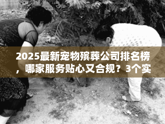 2025最新宠物殡葬公司排名榜，哪家服务贴心又合规？3个实战案例教你选