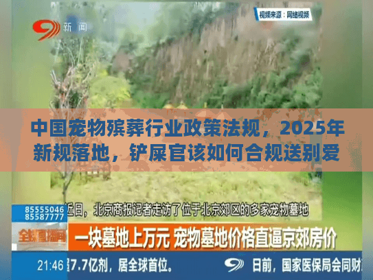 中国宠物殡葬行业政策法规，2025年新规落地，铲屎官该如何合规送别爱宠？