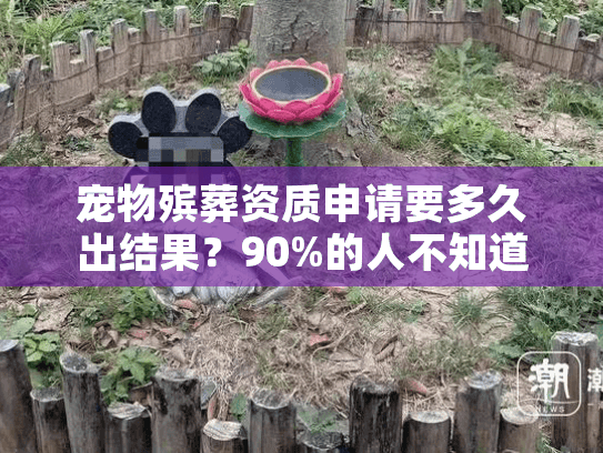宠物殡葬资质申请要多久出结果？90%的人不知道这些审批加速技巧