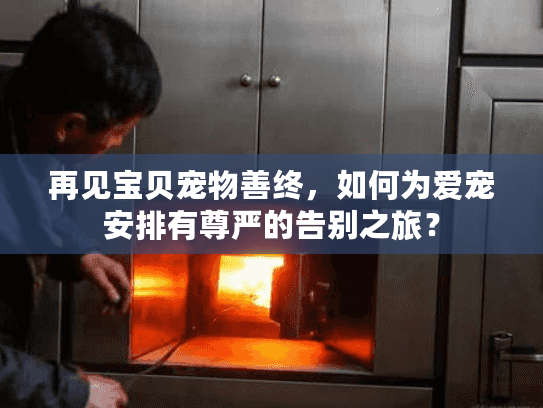 再见宝贝宠物善终，如何为爱宠安排有尊严的告别之旅？
