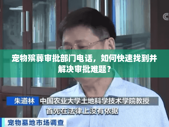 宠物殡葬审批部门电话，如何快速找到并解决审批难题？