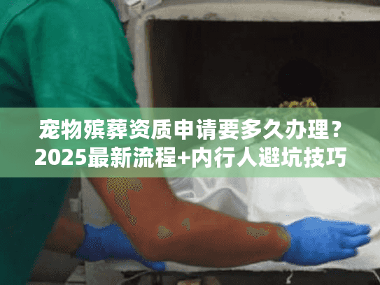 宠物殡葬资质申请要多久办理？2025最新流程+内行人避坑技巧