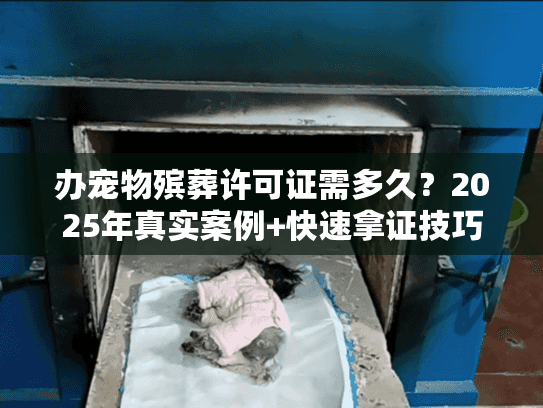 办宠物殡葬许可证需多久？2025年真实案例+快速拿证技巧