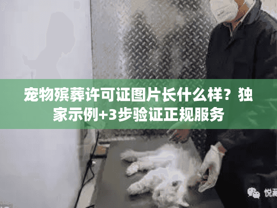 宠物殡葬许可证图片长什么样?独家示例+3步验证正规服务 宠物殡葬许可证图片长什么样?独家示例+3步验证正规服务